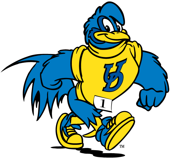 delaware blue hens 1993-pres mascot logo t shirts iron on transfers v3